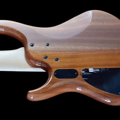 Kingston Z5 Ebonol Fretless - V2  - Natural Gloss image 5