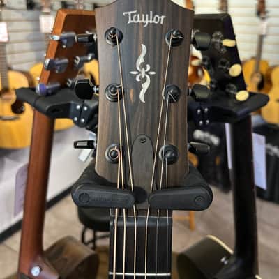 Taylor Fall Limited 424ce Urban Ash 2022 - Natural image 2