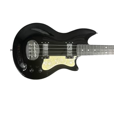 Lakland Skyline HB-30 Short Scale Hollow Body, Black Gloss / Pau Ferro 7.4 LBS *IN STOCK* image 1