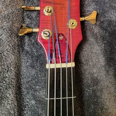 Pedulla Pentabuzz Fretless 2005 image 4