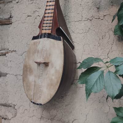 Rubab, robab, rabab Afghan 1960 image 7