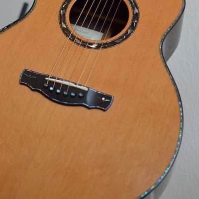 Kevin Ryan Paradiso Signature Series image 8