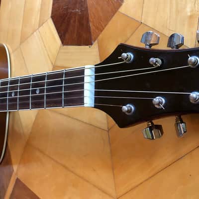 Silvertone PRO SERIES Acoustic Guitar PD2 image 6