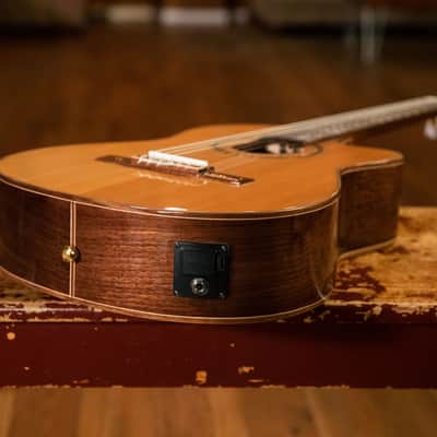 Ortega RCE159MN Performer Series Solid Cedar Top Mahogany Neck Cutaway Nylon 6-String Classical Acoustic-Electric Guitar w/Gig Bag image 16