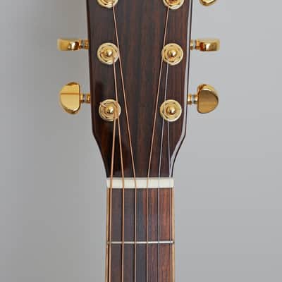 Zager ZAD900CE OM Style Acoustic Electric with Fishman Aura Pro Electronics + Case, Extra Strings & Strap image 5