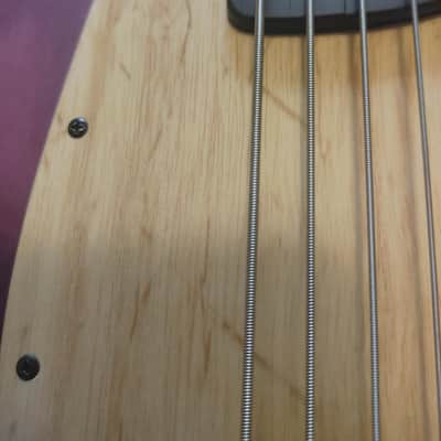 Badstroke Wendigo Multiscale 8-String Fan Fret Rare image 3