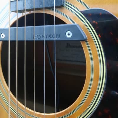 Ibanez V300 image 2