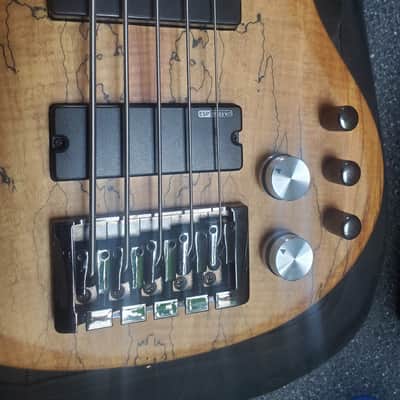 ESP LTD ACTIVE 5 string Bass Spalted Maple with EXTRAS **minty** image 2