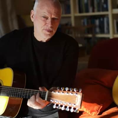 Martin D-35 David Gilmour 12-string Custom Signature Edition 2021 Natural image 11