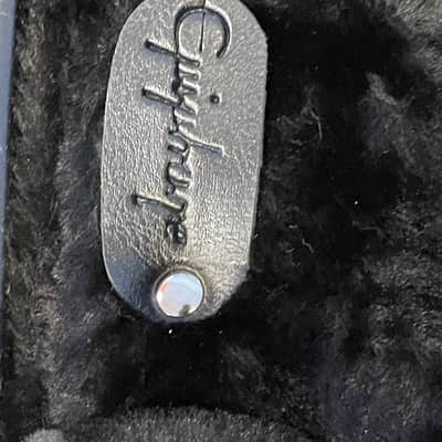 Epiphone Electric Bass Case- Fits other models as well. 2025 - Black with chrome latches image 4