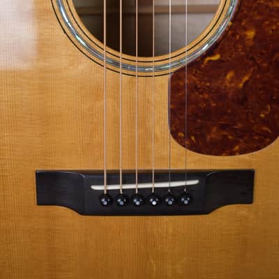 Galloup Dreadnought 2000s - natural image 6