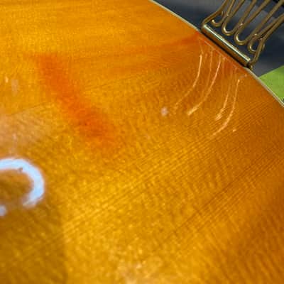 1972 Gibson Byrdland image 20
