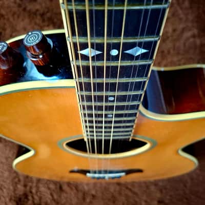 Extremely Rare Vintage 1980s Aria Elecord Model FET-65-12 12 String With Electronics And Arched Top And Bottom image 5
