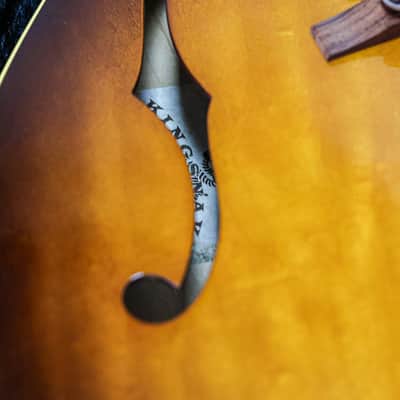King Snake Curtis | Tobacco Sunburst image 5