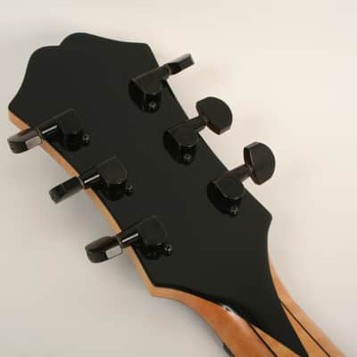 Dale Unger American Archtop American Dream 1997 image 7