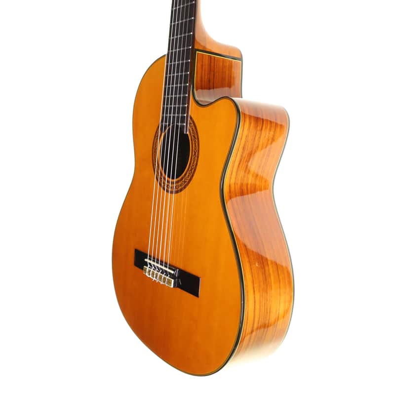 Jasmine by Takamine TC28C Electro Classical Guitar | Reverb