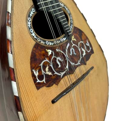 Concert Mandolin (Embergher School) G. Cacchione & Figli 1910s image 5