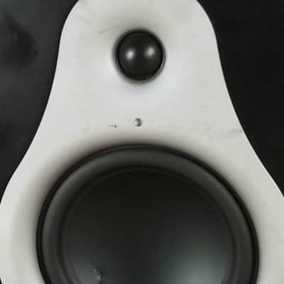 M-Audio DSM1 Powered Speaker CG012MS image 3