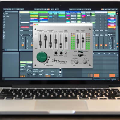 iZotope Vinyl image 2