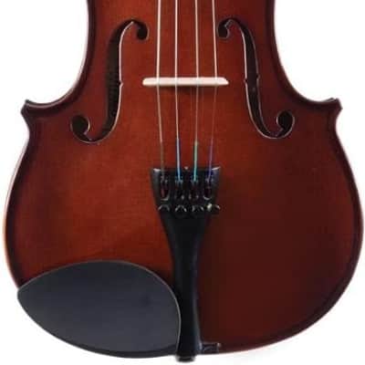 Palatino Model VN-350-1/8 Campus Violin Outfit, 1/8 Size with Case, bow & More image 2