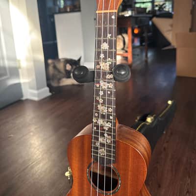 Cordoba Protege Ukelele Uke 2015? - Wood Nice Case Stand Like New image 8