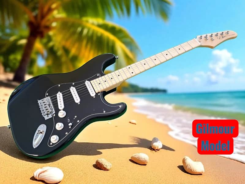 2025 Elite Customs Black w/ Gilmour MOD Style Strat Stratocaster electric guitar LTD BLEM image 1