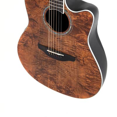 Ovation E – akustická kytara Celebrity Standard Plus Mid Cutaway Nutmeg Burled Maple image 6