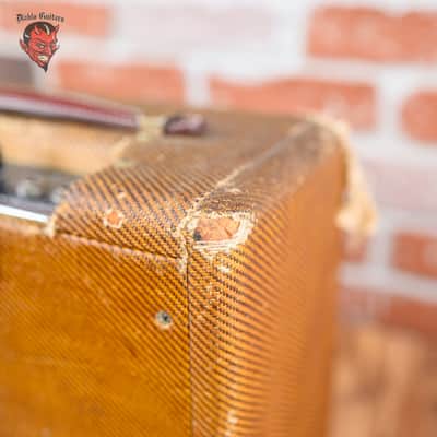 Fender Champ 5F1 Narrow Panel 5-Watt 1x8" Guitar Combo 1963/1964 - Tweed image 17