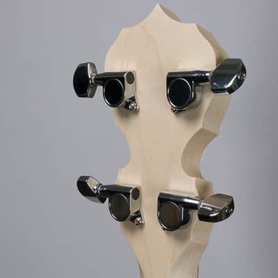 Deering Goodtime Special 5-String Banjo image 6