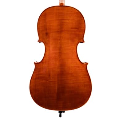Testore Cello 4/4 from One Piece Back – Hand-Made in Romania 2025 #76 image 4