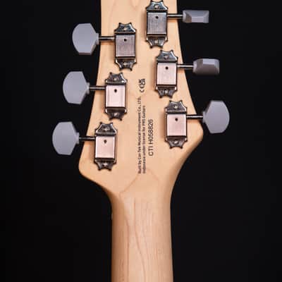 PRS SE Silver Sky "Lefty", Laurel Green image 10