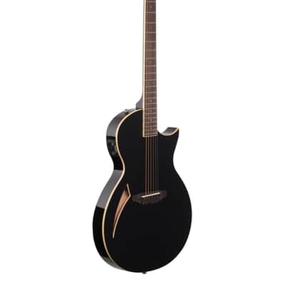 ESP LTD TL-6 Thinline Acoustic Electric Guitar Black image 8