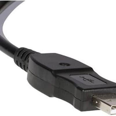 OnStage Microphone to USB Cable 10 ft Microphone to USB Cable image 3