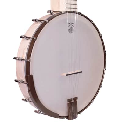 Deering Artisan Goodtime Banjo - Violin Grade Maple image 5