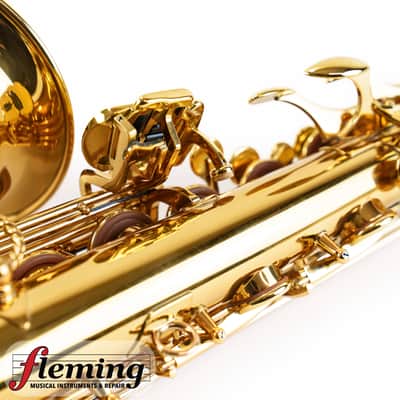 NEW Eastman EAS850 Rue Saint-Georges Professional Alto Saxophone (Competition Demo / Open Box Model) image 20