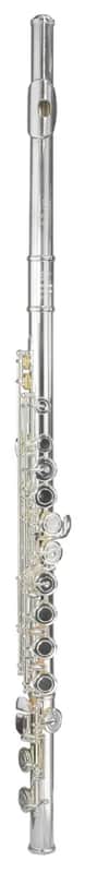 Trevor James Chanson Flute Outfit - Voce Head. Split E
