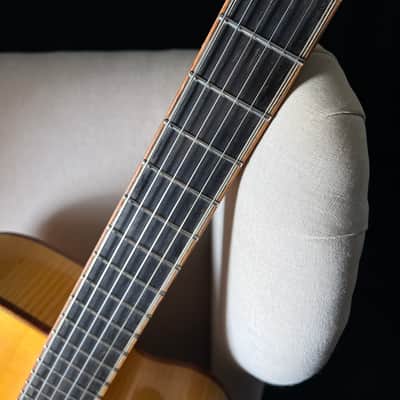 William Gagnon Composer Archtop 17" Kent Armstrong image 17