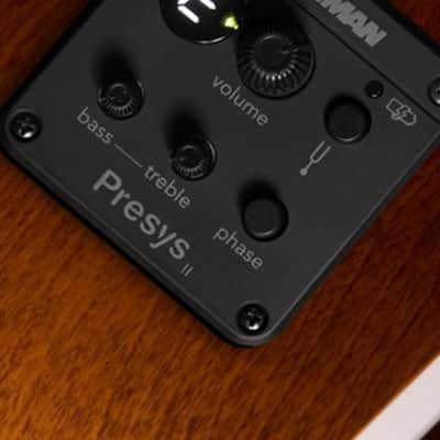 Seagull- S12 CH CW SPRUCE SUNBURST GT PRESYS II image 5