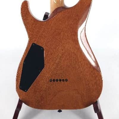 ESP ESP USA Custom Horizon II Seymour Pegasis/Sentient with Case - RR Marble Serial#: US25072 image 8