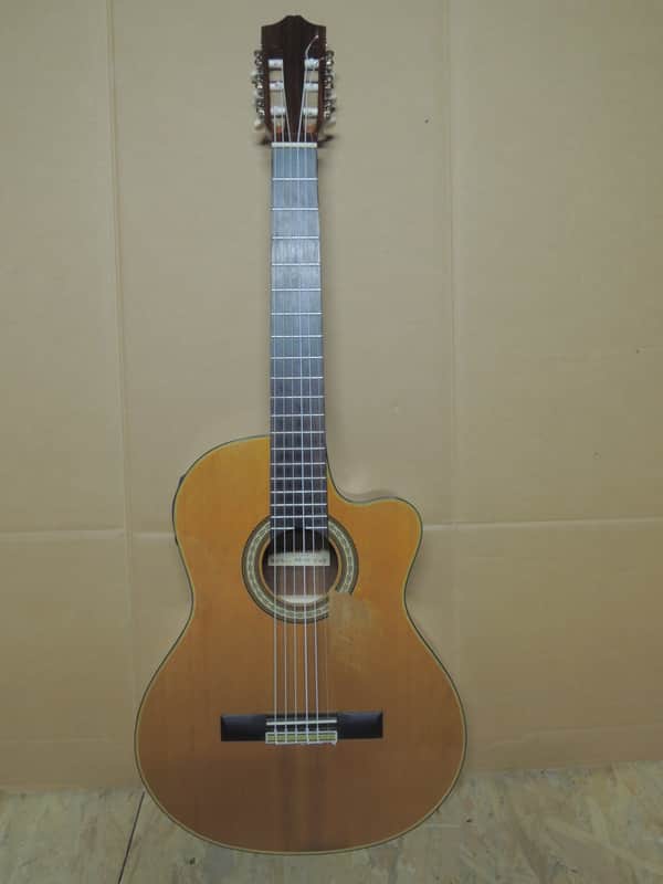 andalusia AG-6 G Guitare classique electro acoustique pan coupé Style Espagnole image 1