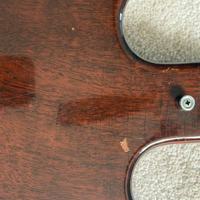 Gibson Melody Maker 1964 - 1965 image 6