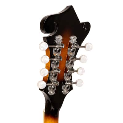 Gold Tone Sunburst F-Style Mandolin w/ Hard Case image 7
