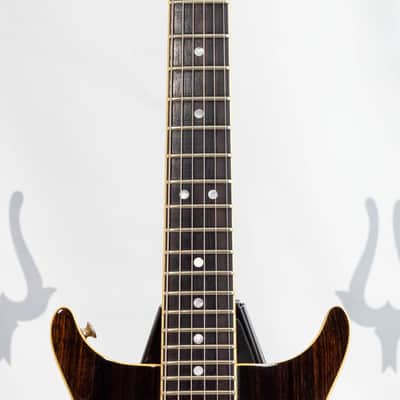 Washburn Falcon 1979 - Rosewod Top - 5 piece neck through with coil taps image 7