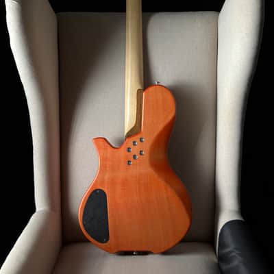 Island Instruments Beanstock Guitar image 2