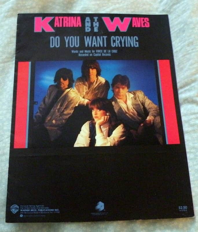 活動歴および当時の関連ビジュアル記録