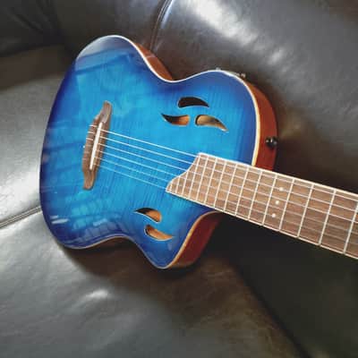 Ortega  Tourplayer 2024 image 2