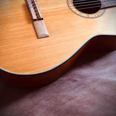 Framus 5/24 Barcelona 60'es image 20