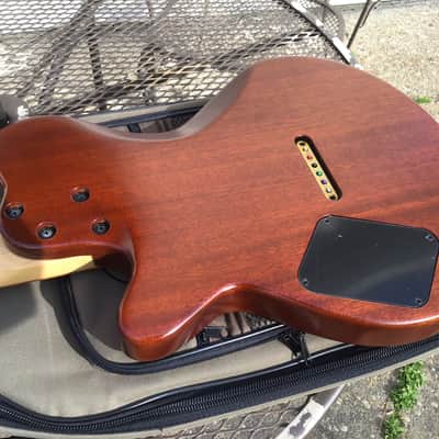 Godin Exit 22 S USA / Canada Mahogany Electric Guitar W/Bag image 18