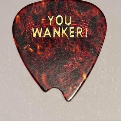 Eddie Van Halen EVH Tortoise Guitar Pick – “YOU WANKER!” Gold Foil (Early 1990s) image 4
