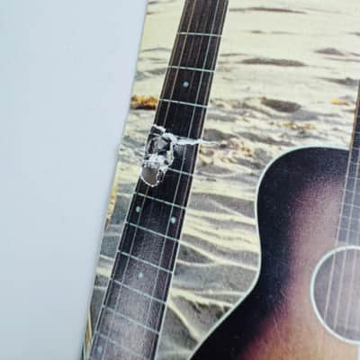 Fender "F" Series Guitars & Banjos Brochure 1970 image 4